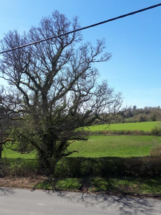 Court Barn Cottage B&B Burwash Εξωτερικό φωτογραφία